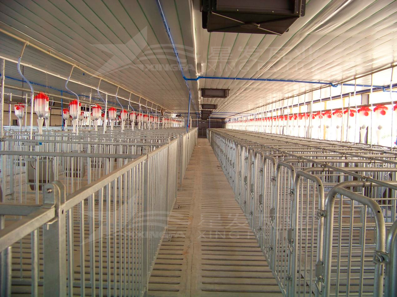 高溫來襲，養(yǎng)殖場安裝樹脂瓦，為小動物營造避暑勝地